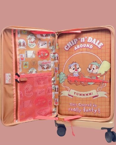 Chip 'n' Dale suitcase