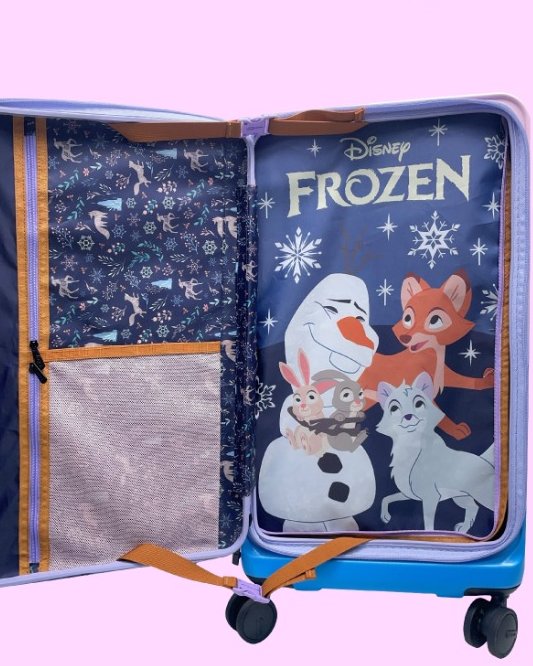Frozen suitcase