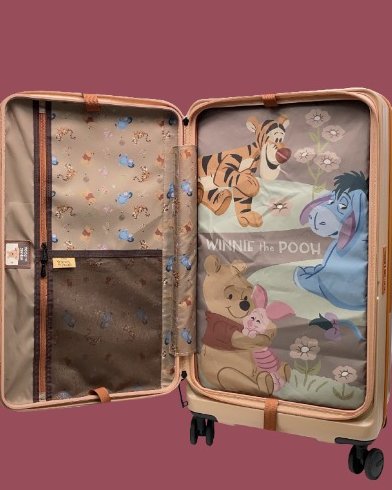 Winnie the Pooh suitcase
